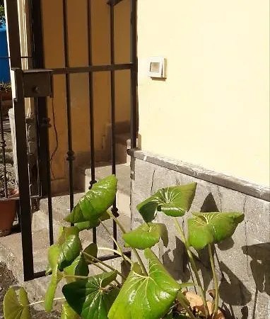 Pompei Vesevus Apartament Boscotrecase Exterior photo