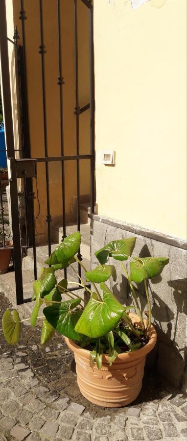 Pompei Vesevus Apartment